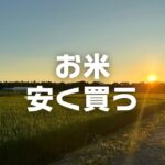 お米買うならどこが安い？