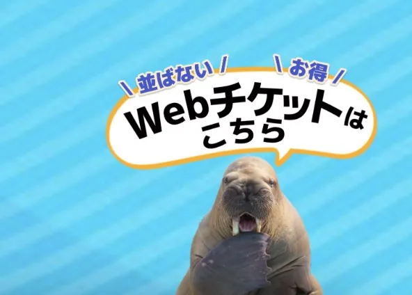 うみたまごアソビュー