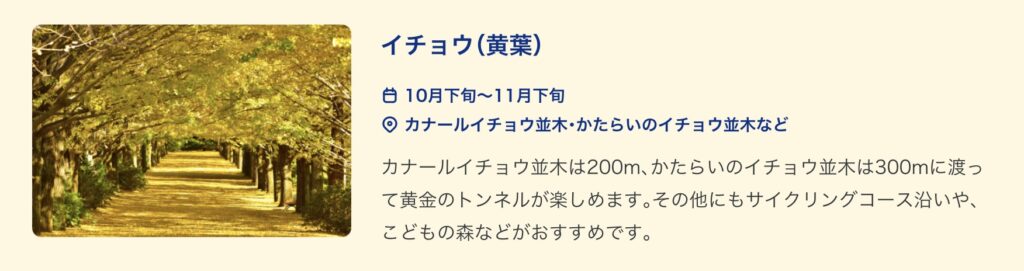 昭和記念公園紅葉イチョウ