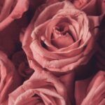 バレンタインチョコ以外スイーツ