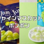 シャインマスカットボンボン代替品