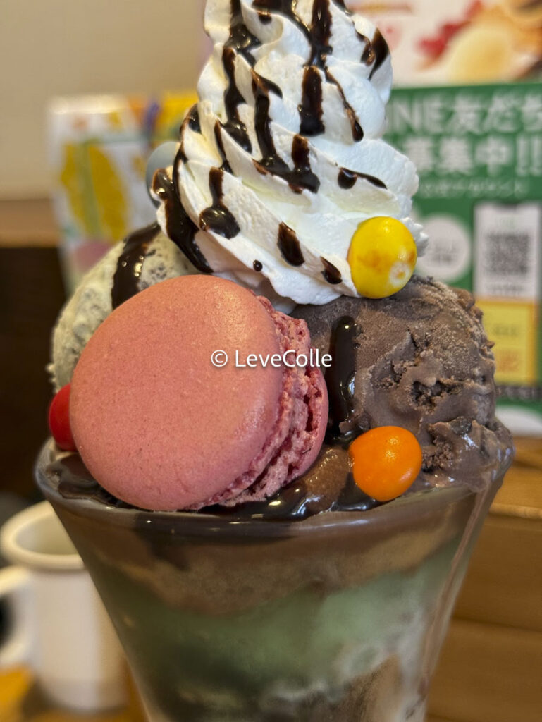 ココスチョコミン党いつからいつまで?