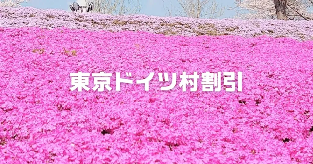 東京ドイツ村割引