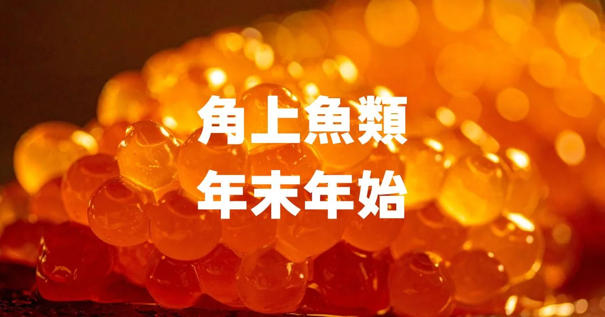角上魚類年末年始