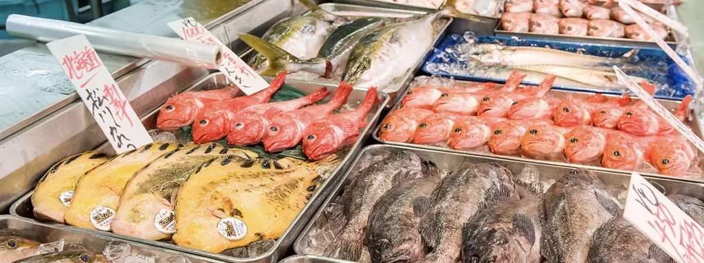 角上魚類年末年始